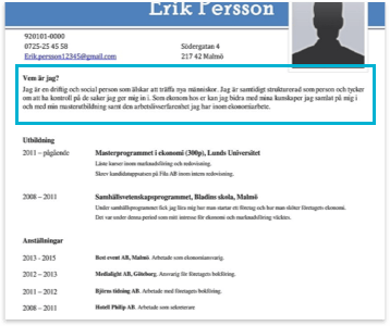 profil i cv exempel