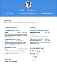 exempel på ett cv