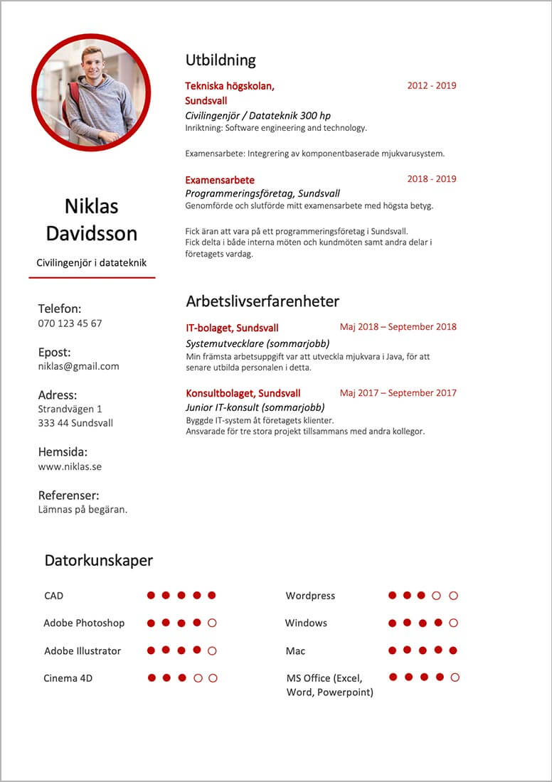 funkionellt cv ingenjör