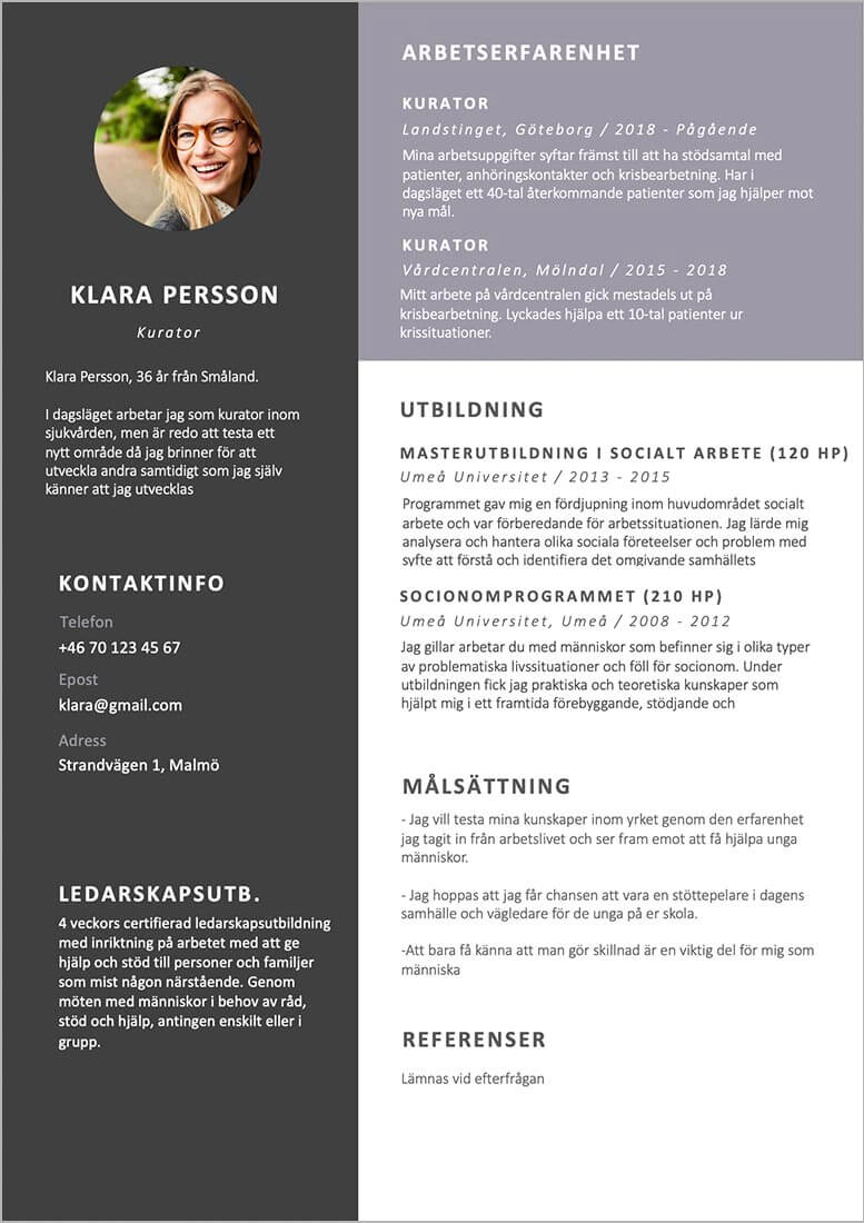 exempel på cv kurator