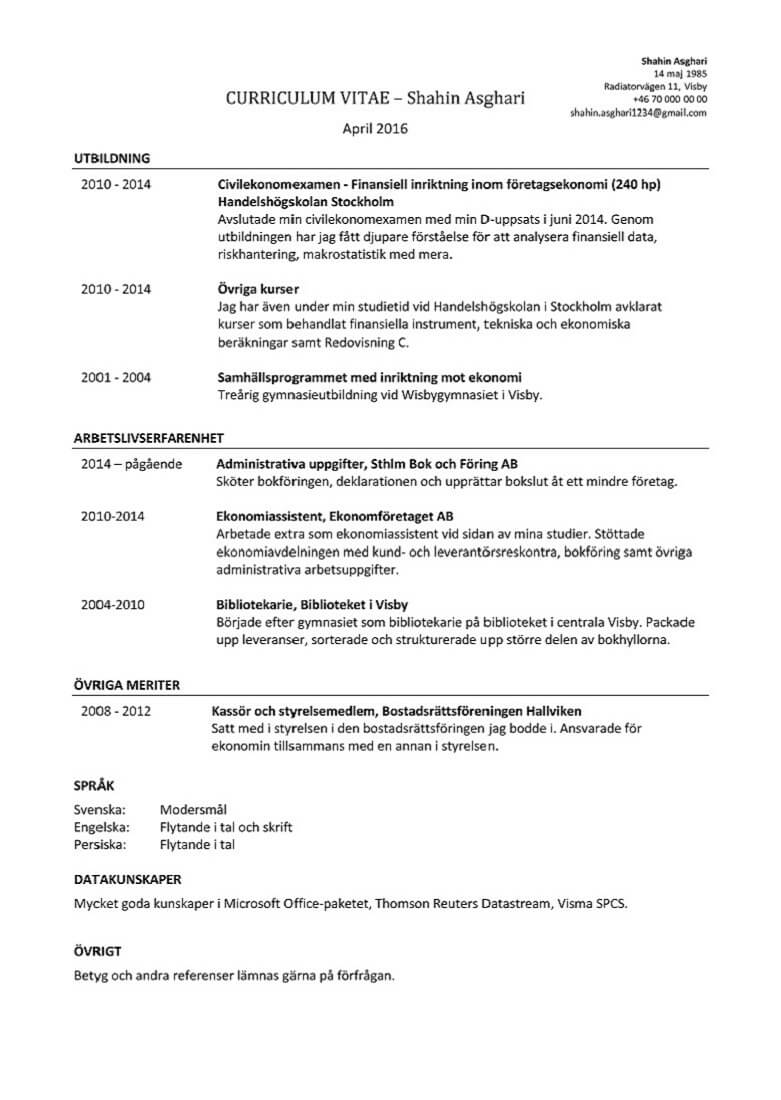 exempel på cv ekonomi