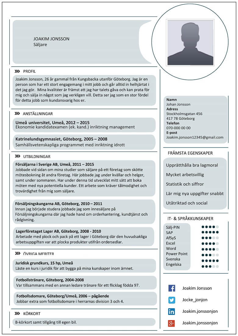 exempel cv till säljare